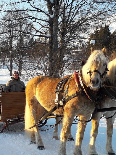 Pferdeschlittenfahrt im Schnee | © Kielerhof