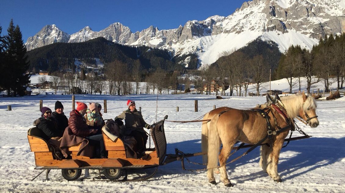 Eine nostalgische Pferdeschlittenfahrt durch die schneebedeckte Landschaft. Im Hintergrund erheben sich majestätische Berge unter klarem Himmel. | © Kielerhof