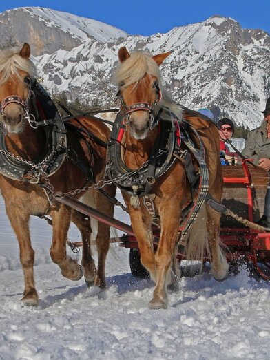 Pferdekutsche im Schnee | © Sporthof Austria