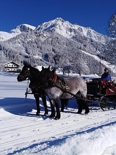 Kutschenfahrt im Schnee | © Wagnerhof