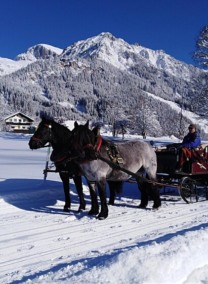 Kutschenfahrt im Schnee | © Wagnerhof