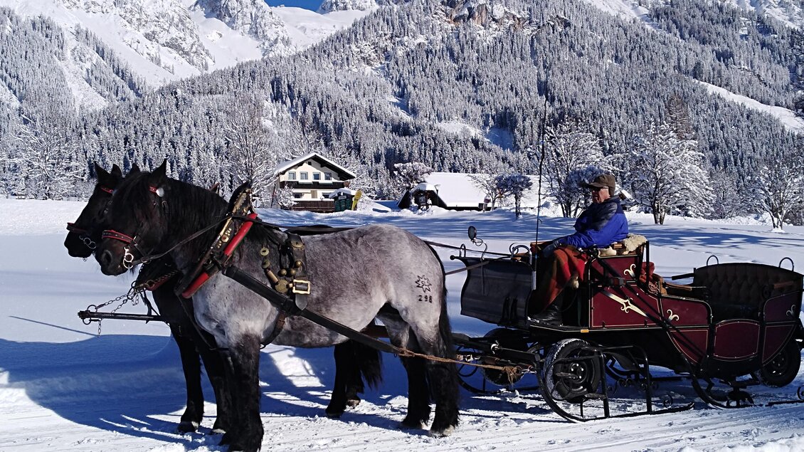 Eine winterliche Landschaft mit schneebedeckten Bergen. Ein Pferdeschlitten fährt durch den Schnee, gezogen von einem schwarzen Pferd. | © Wagnerhof