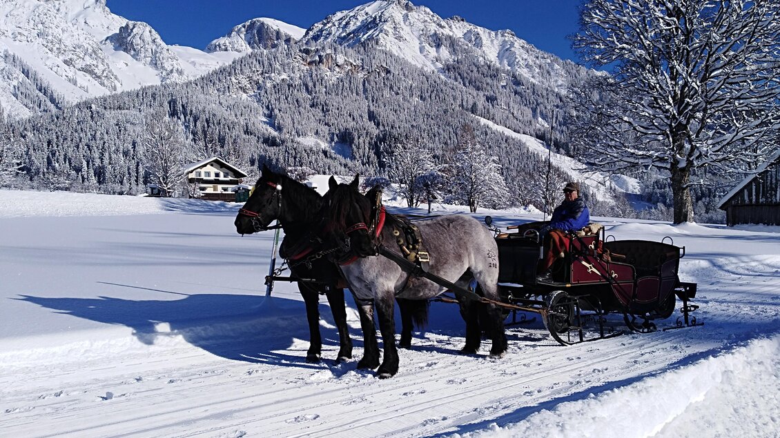 Eine Pferdeschlittenfahrt in verschneiter Landschaft. Im Hintergrund sind schneebedeckte Berge und eine ruhige, winterliche Atmosphäre zu sehen. | © Wagnerhof