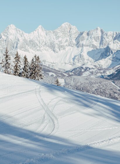 Dachsteinblick | Gerald Gruenwald | © Reiteralm Bergbahnen