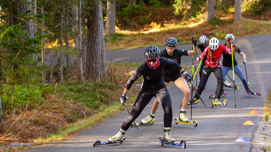 Eine Gruppe von Sportlern trainiert auf Rollski auf einer Waldstraße. Die Teilnehmer tragen Helme und spezielle Sportkleidung.