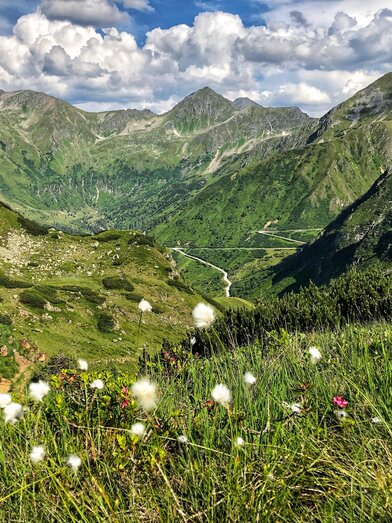 Sölkpass | Blick auf die Sölkpassstraße
