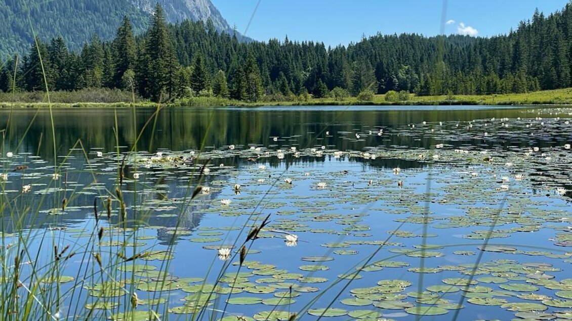 See | © Spechtenseehütte