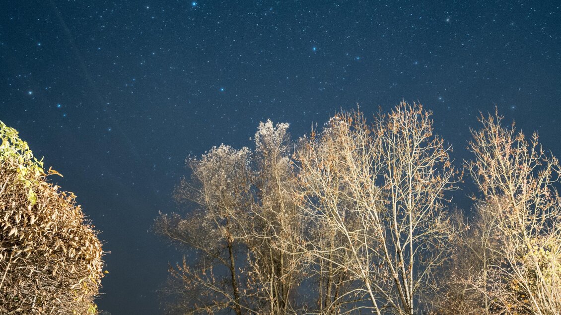 Eine klare Nacht mit vielen Sternen am Himmel. Im Vordergrund befinden sich Bäume und ein dekoratives Element im Garten. | © Gerald Grünwald