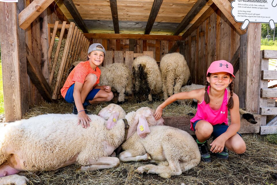 Petting zoo - Impression #1 | © Haus Kaibling