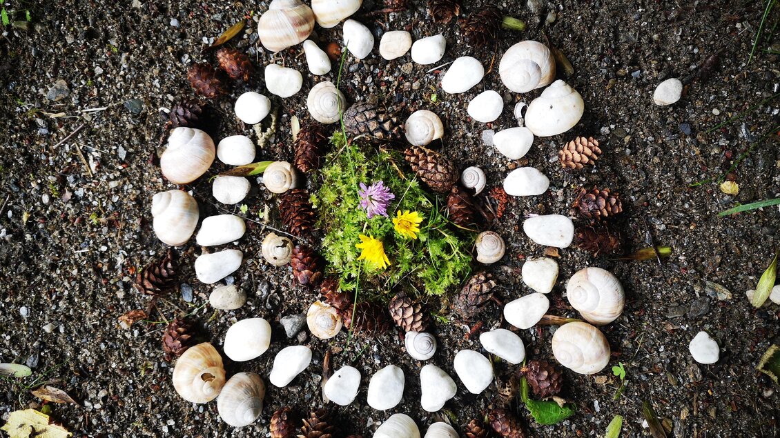 Ein Mandala aus Muscheln und Tannenzapfen, umgeben von grünem Moos und gelben Blumen. Die Anordnung ist harmonisch und naturalistisch. | © Naturpark Sölktäler