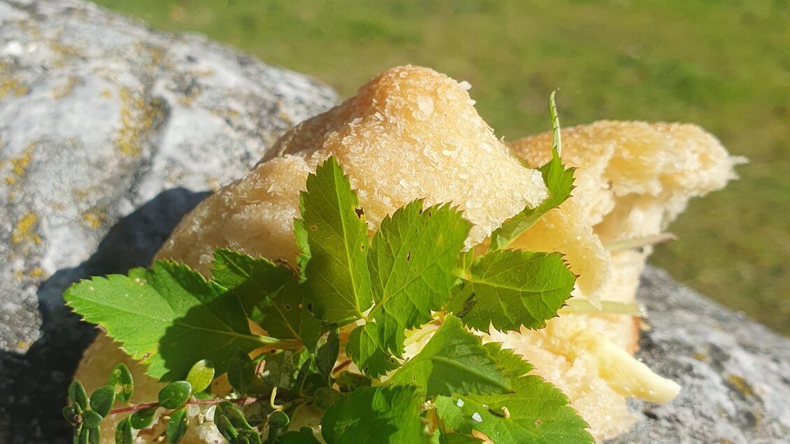 Ein Stück Brötchen liegt auf einem Stein, umgeben von frischen grünen Blättern. Im Hintergrund ist eine grüne Wiese zu sehen. | © Verena Novak