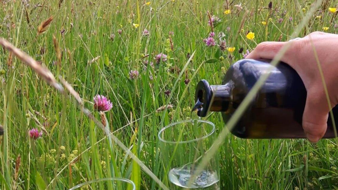 Eine Hand gießt Wasser aus einer Flasche in zwei Gläser. Die Szene ist von einer blühenden Wiese und Bergen im Hintergrund umgeben. | © Verena Novak