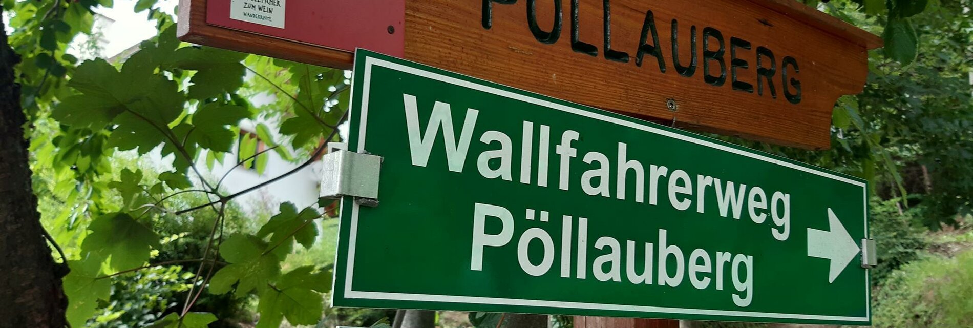 (c) WEGES Pöllau Hirschbirnenweg (5)