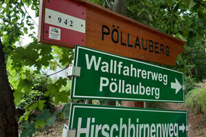 (c) WEGES Pöllau Hirschbirnenweg (5)