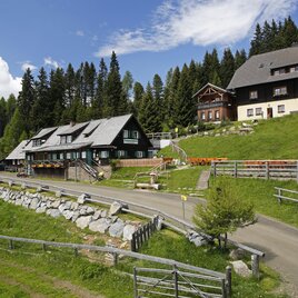 Eine malerische Alpenlandschaft mit zwei großen Berghäusern und grünen Wiesen. Der Himmel ist blau mit einigen Wolken und die Umgebung ist von dichten Wäldern umgeben. | © AlmDorf Tonnerhütte