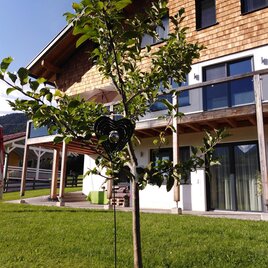 A young tree with a heart-shaped lock stands in front of a modern wooden house. In the background, green meadows and the windows of the house are visible.