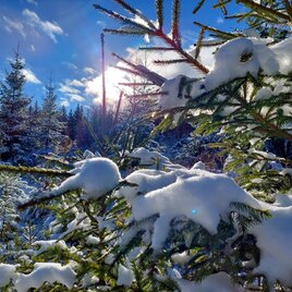 Winterimpression | © TV Hochsteiermark