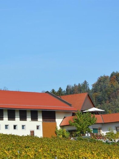 Auszeithof Weingut Pronegg Außenansicht | © Auszeithof Weingut Pronegg | Helmut Pronegg | Helmut Pronegg | © Auszeithof Weingut Pronegg | Helmut Pronegg