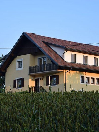 Außenansicht | © Buschenschank Riedl Kilian vlg. Fostl | Buschenschank Riedl Kilian vlg. Fostl | © Buschenschank Riedl Kilian vlg. Fostl