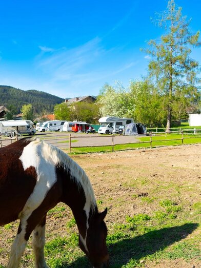 Camping Winkelmayerhof | © Winkelmayer | © Winkelmayer