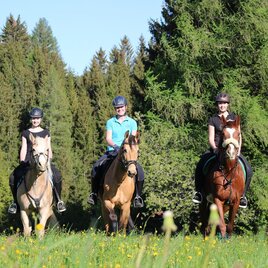 Ausreiten | © Narnhoferwirt KG