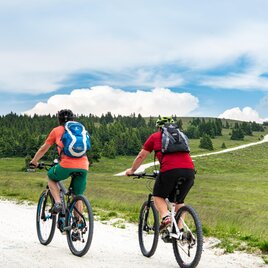 Rad (C) TV Joglland - Waldheimat, Kurt Elmleitner  | © TV Joglland Waldheimat