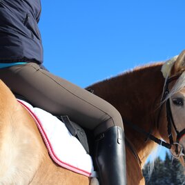 Reiten im Schnee oder in der Reithalle | © Leitner Karin