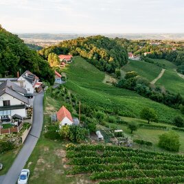 Eine malerische Landschaft mit Weinbergen und sanften Hügeln. Im Vordergrund sieht man ein schönes Haus mit einer Straße, die entlang der Weinberge führt.