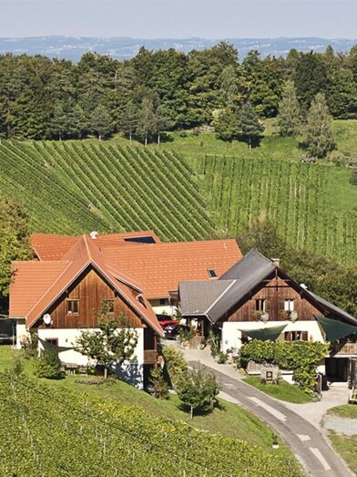 Ferienhaus Die Amtmann_9 | © Ferienhaus Die Amtmann | © Ferienhaus Die Amtmann
