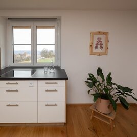 A modern kitchen with white cabinets and a dark work area. Next to the window stands a green plant in a flower pot. | © Martina Anger
