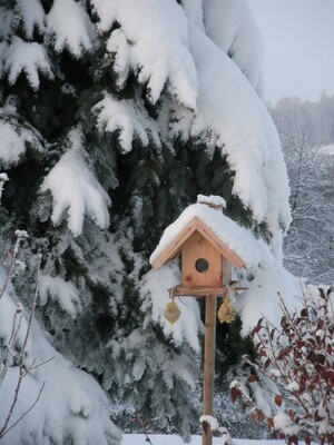 Vogelhaus im Schnee | © Lindner