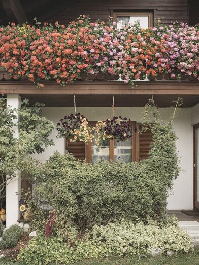 Gästehaus Plum in Hall/Zirnitz | Stefan Leitner