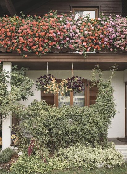 Gästehaus Plum in Hall/Zirnitz | Stefan Leitner