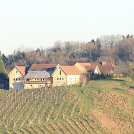 Eine malerische Landschaft mit Weinbergen und einem Bauernhaus im Hintergrund. Die Umgebung ist von Bäumen umgeben und der Himmel ist klar. | © Martin Kahr