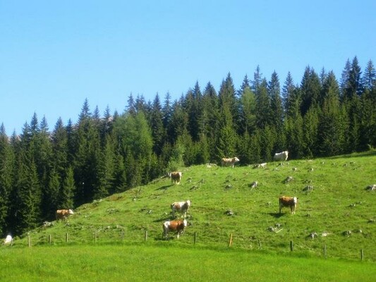 Grassleralm-exterior-Murtal-Styria | © Erlebnisregion Murtal