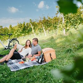 Radfahren-TV St. Ruprecht die Mosbachers  (10)