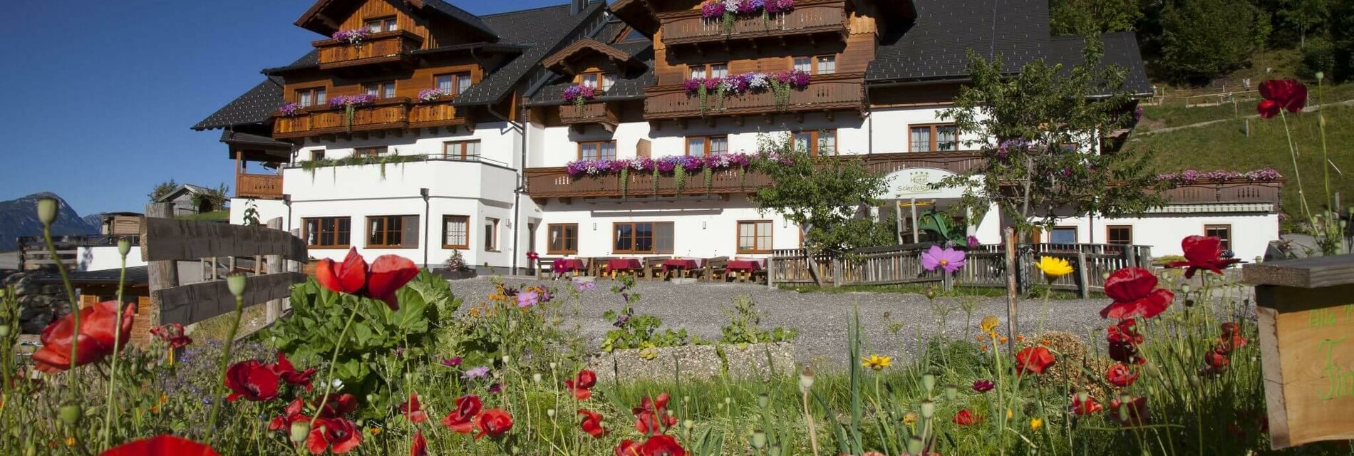 Hotel Schröckerhof im Sommer