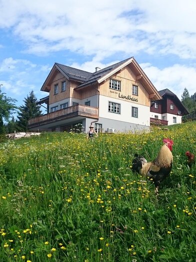 Knoedl-Alm-Landhaus-Urlaub-Bad-Mitterndorf-Bauernh | © Knödl Alm, Bad Mitterndorf - www.urig.at | Knödl Alm, Bad Mitterndorf - www.urig.at | © Knödl Alm, Bad Mitterndorf - www.urig.at