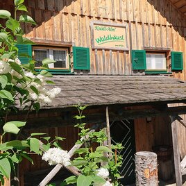 Ein traditionelles Holzhaus mit grünen Fensterläden und einem einladenden Schild. Umgeben von Blumen und Pflanzen strahlt es eine gemütliche Atmosphäre aus. | © Knödl Alm, Bad Mitterndorf - www.urig.at