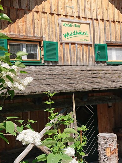Ferienhaus-Waldhaeusl-Bad-Mitterndorf | © Knödl Alm, Bad Mitterndorf - www.urig.at | Knödl Alm, Bad Mitterndorf - www.urig.at | © Knödl Alm, Bad Mitterndorf - www.urig.at