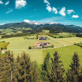 Eine weite Landschaft mit sanften Hügeln und saftig grünen Wiesen. Im Hintergrund sind majestätische Berge unter einem klaren, blauen Himmel zu sehen. | © Bio- und Gesundheitsbauernhof Offenbacher