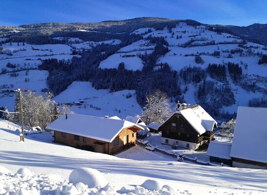Leitnerhof im Winter