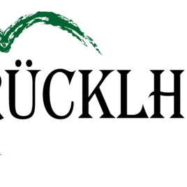 A green heart woven around the word "Love." The font is clear and modern, conveying a positive message.