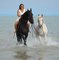 Nicole Bild auf Pferd | © Rodeo Ranch
