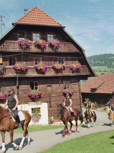 Sommerfoto_Bauernhaus