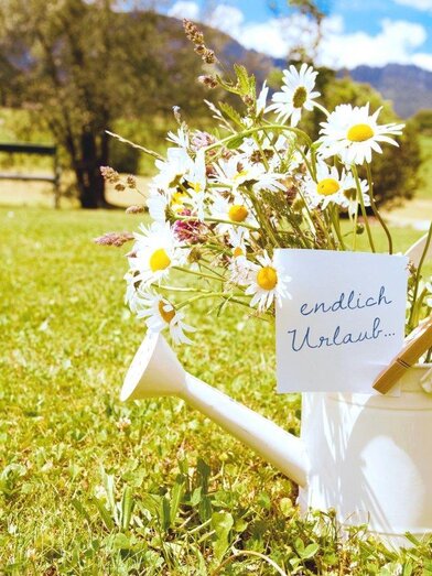 Sommerfrische erleben