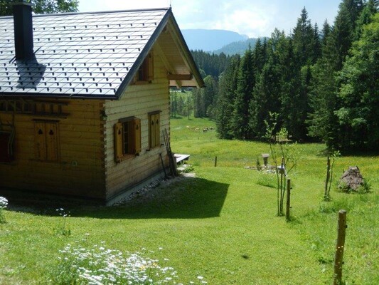 Starlhütte, Altaussee, Almgebiet | © Familie Reichenvater