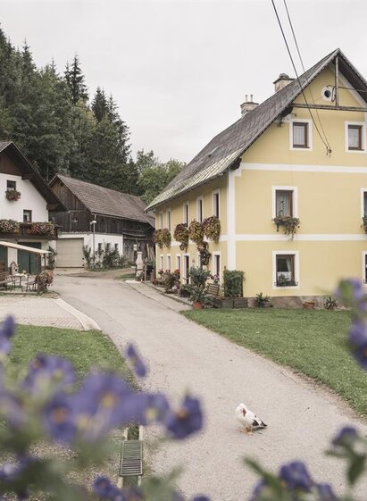 Unser Hof in Landl | © Stefan Leitner | © Stefan Leitner