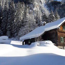 A cozy wooden house in a snowy landscape. Tall, snow-covered fir trees surround the tranquil scene. | © Stocker