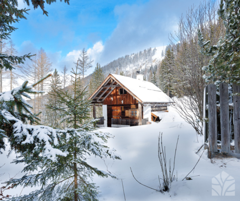 House view in winter | © Waldhütten.at